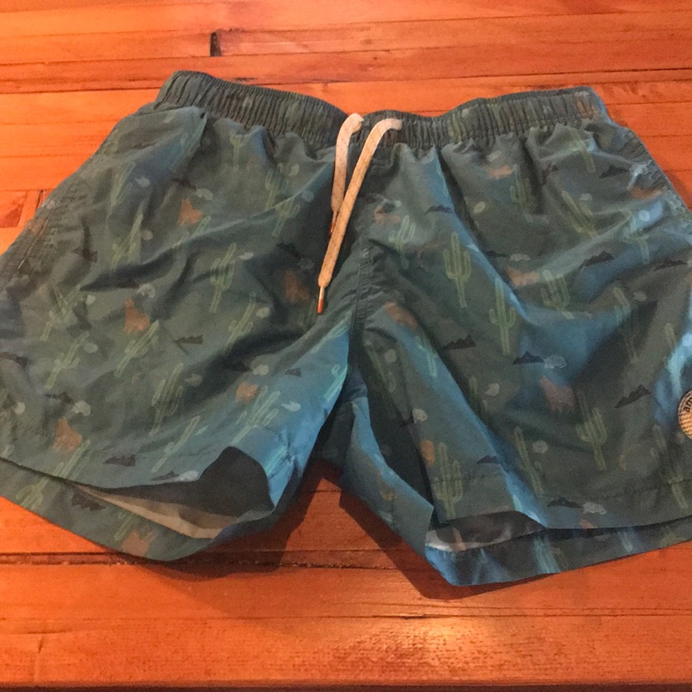 Cactus Bathing Suit